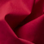 BENGALINA LICRADA (8)